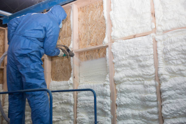 Best Spray Foam Insulation  in Sheridan, WY